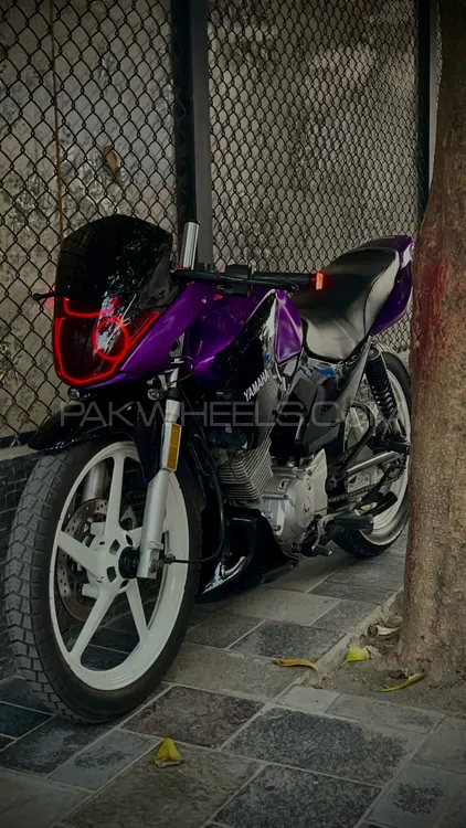 Yamaha YBR 125 2020 for Sale Image-1