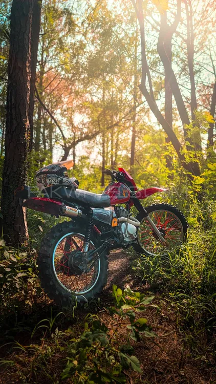 Chinese Bikes Other 2017 for Sale Image-1
