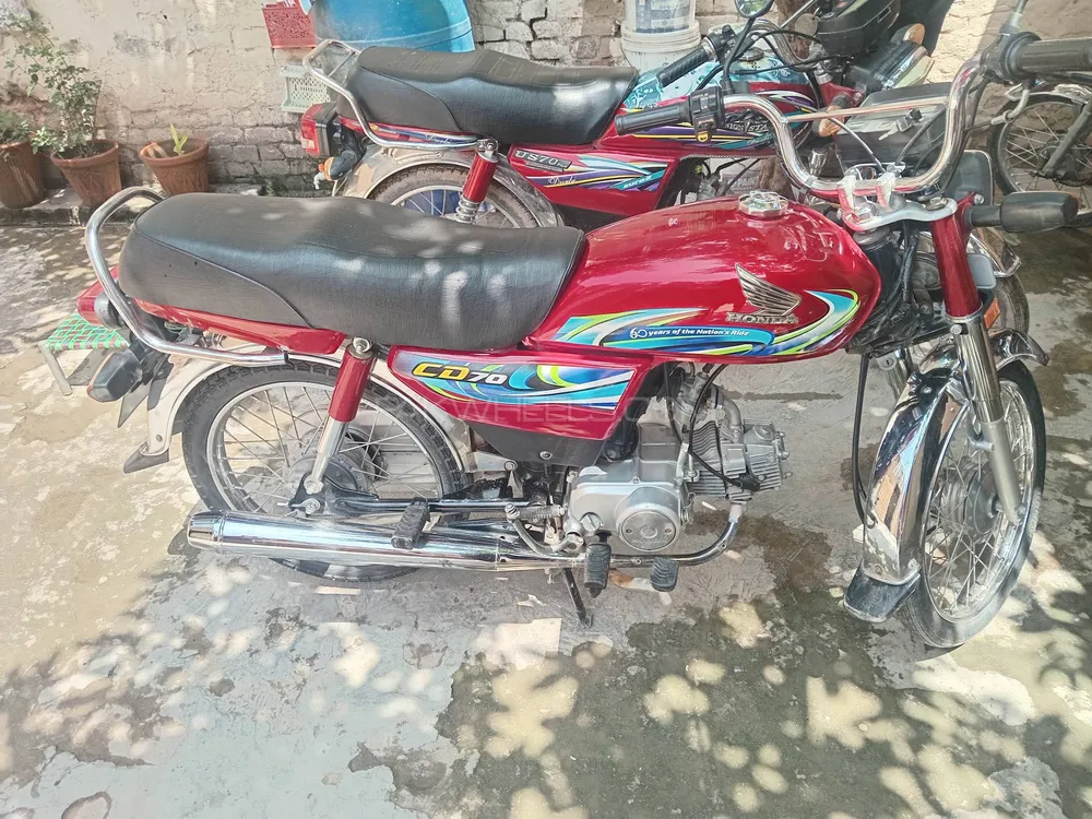Honda CD 70 2023 for Sale Image-1