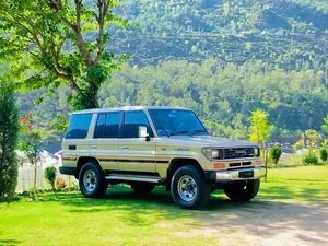 Toyota Land Cruiser 1992 for Sale
