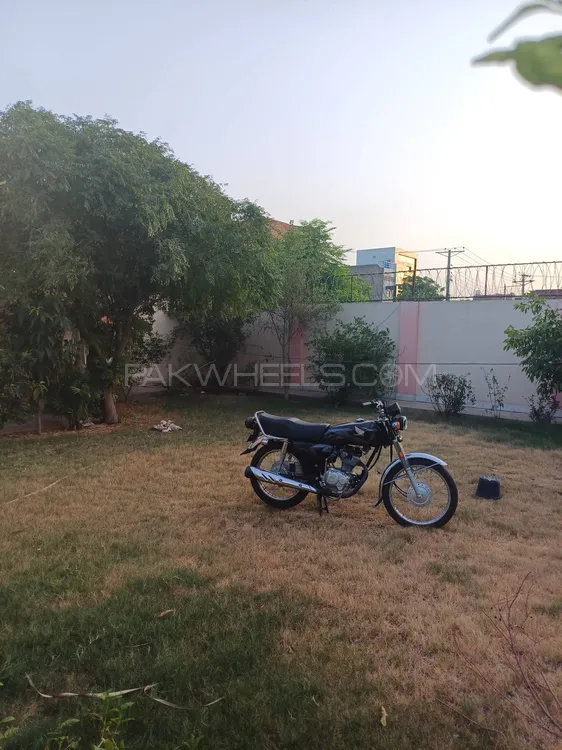 Honda CG 125 2024 for Sale Image-1