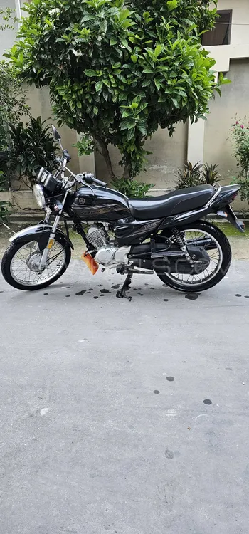 Yamaha YB 125Z  2020 for Sale Image-1