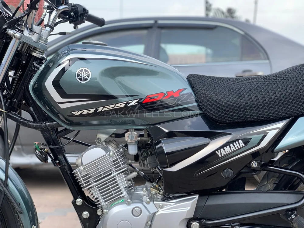 Yamaha YB 125Z-DX 2024 for Sale Image-1
