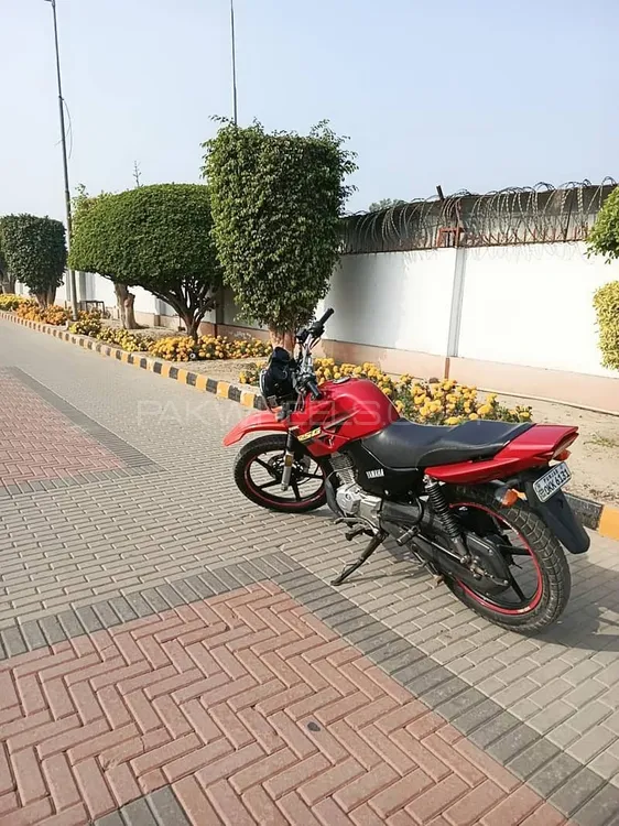 Yamaha YBR 125G 2019 for Sale Image-1