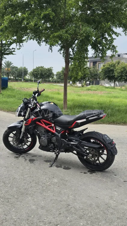 بنیلی 302S 2021 for Sale Image-1