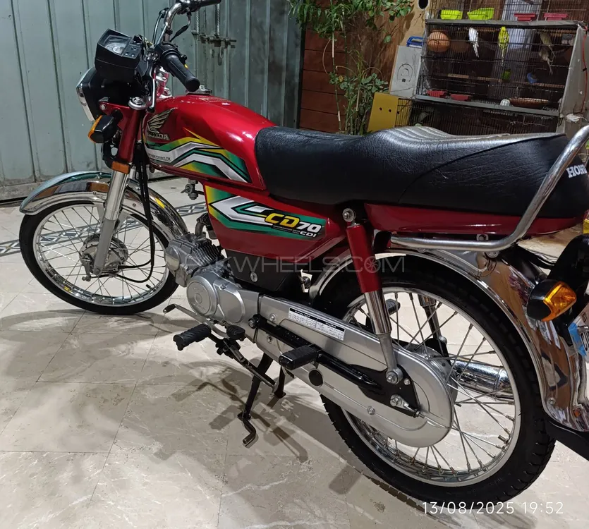 Honda CD 70 2023 for Sale Image-1
