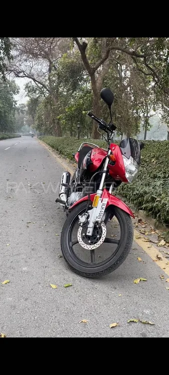 Yamaha YBR 125 2022 for Sale Image-1