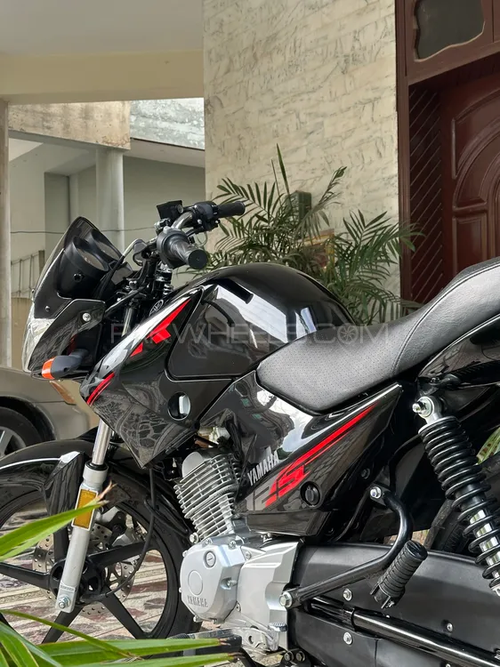 Yamaha YBR 125 2024 for Sale Image-1