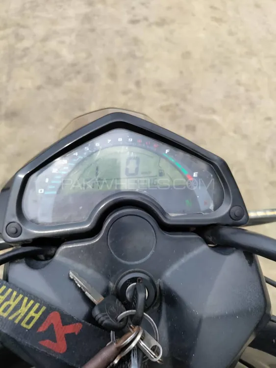 Crown FIT 150 Fighter 2019 for Sale Image-1