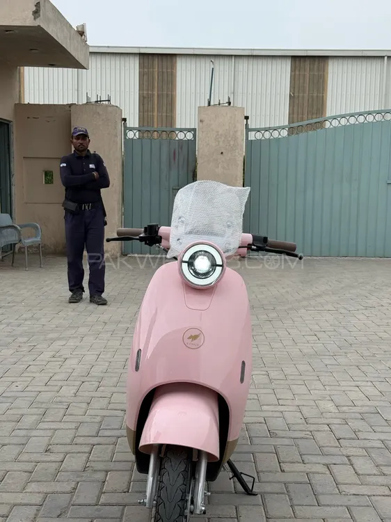Chinese Bikes Other 2025 for Sale Image-1