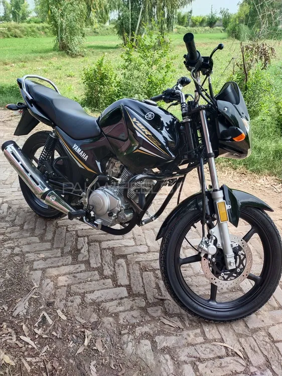 Yamaha YBR 125 2023 for Sale Image-1
