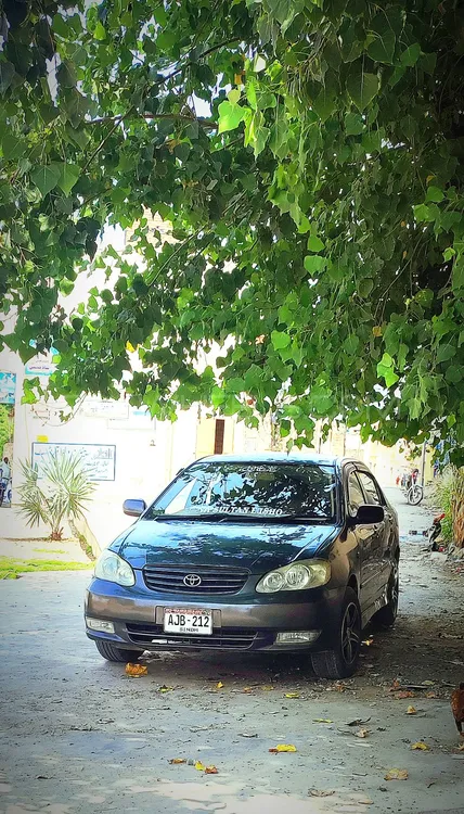 ٹویوٹا کرولا 2005 for Sale in کوہاٹ Image-1