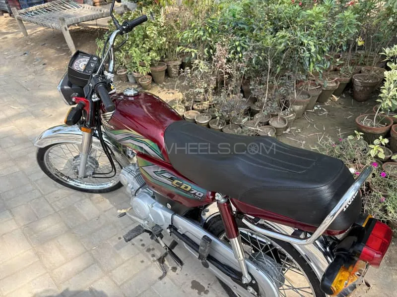 Honda CD 70 2023 for Sale Image-1