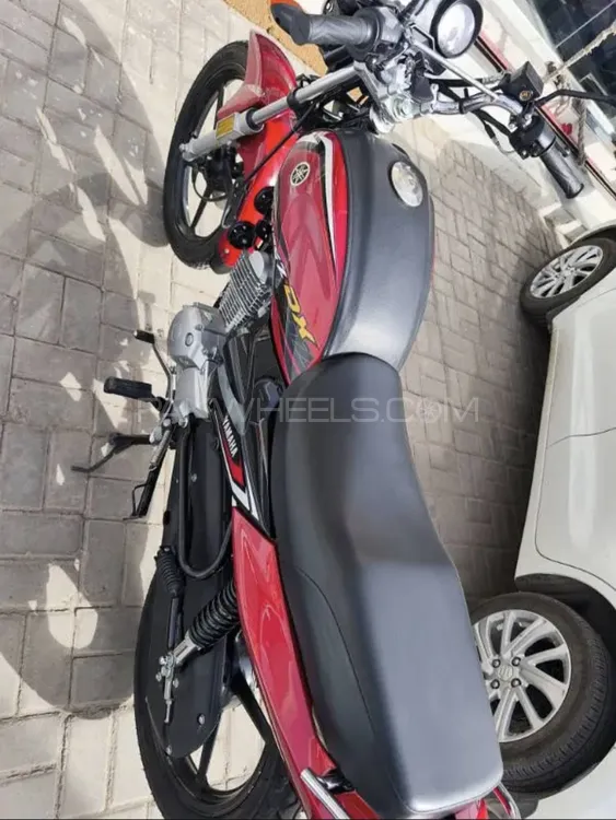 Yamaha YB 125Z-DX 2024 for Sale Image-1