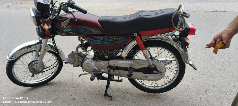 Honda CD 70 2024 for Sale Image-1