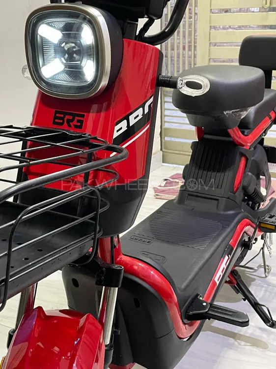 BRG Pedelix 2025 for Sale Image-1