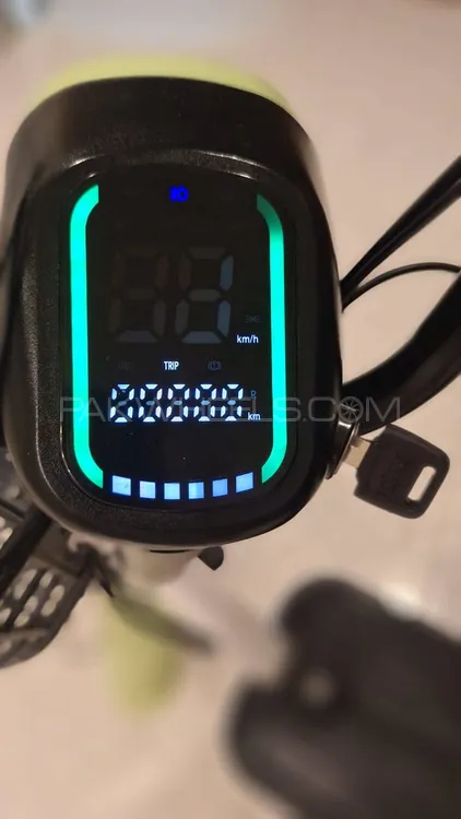 Evee Flipper 2025 for Sale Image-1