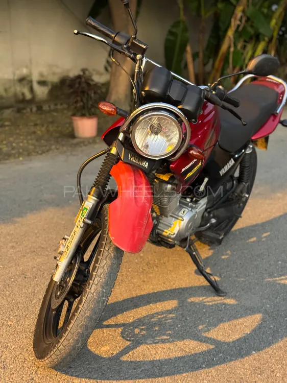Yamaha YBR 125 2019 for Sale Image-1