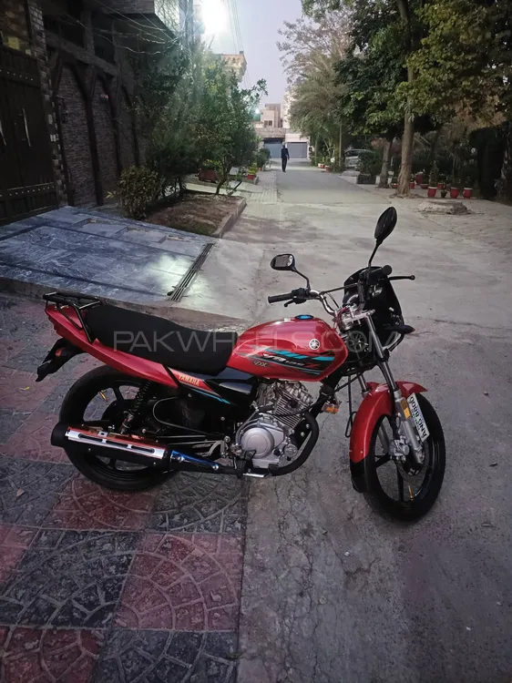 Yamaha YBR 125 2022 for Sale Image-1