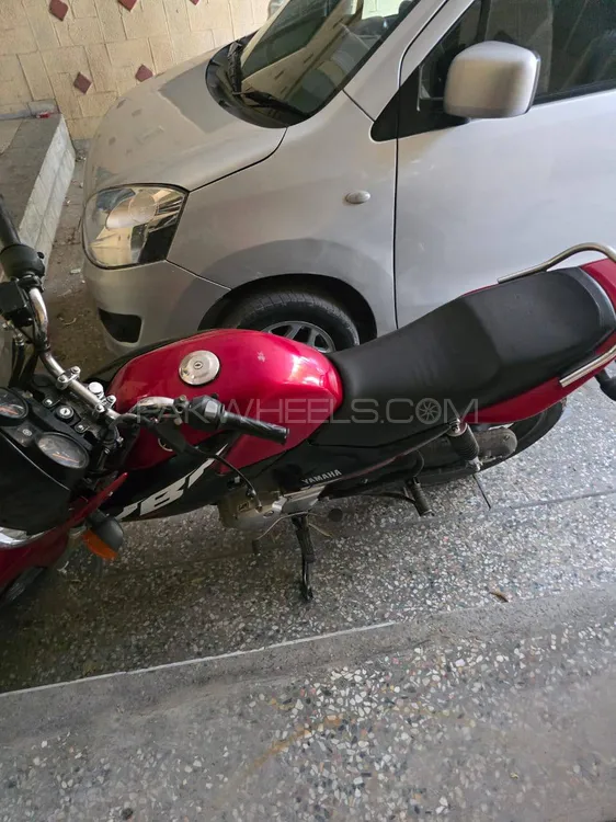 Yamaha YBR 125 2024 for Sale Image-1