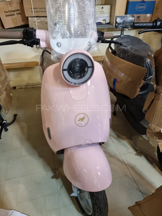 Chinese Bikes Other 2025 for Sale Image-1