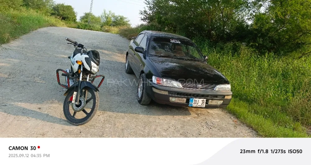 ٹویوٹا کرولا 1998 for Sale in راولپنڈی Image-1