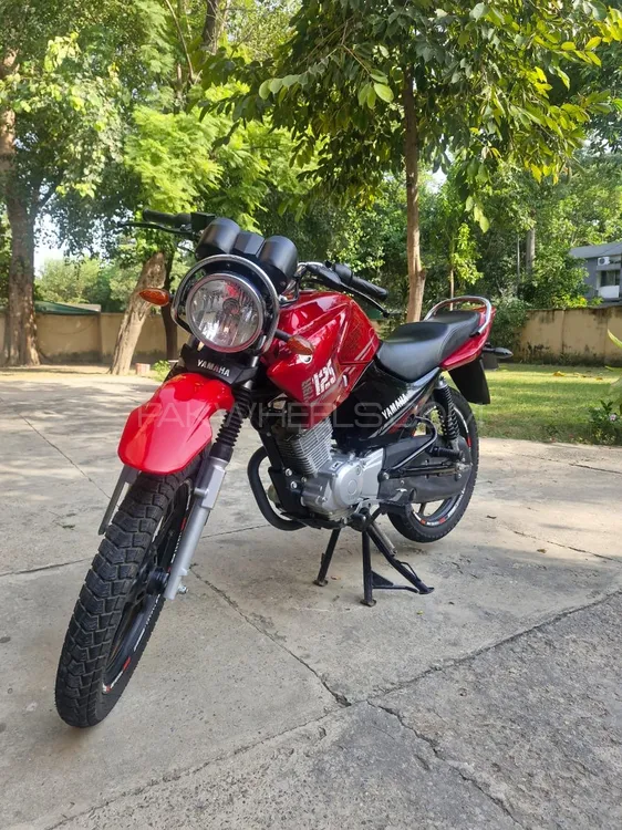Yamaha YBR 125 2024 for Sale Image-1