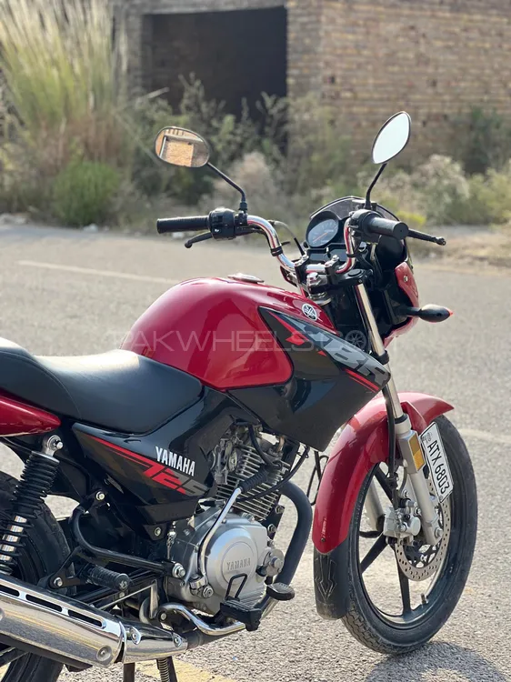 یاماہا YBR 125 2024 for Sale یاماہا YBR 125 2024 for Sale Image-4
