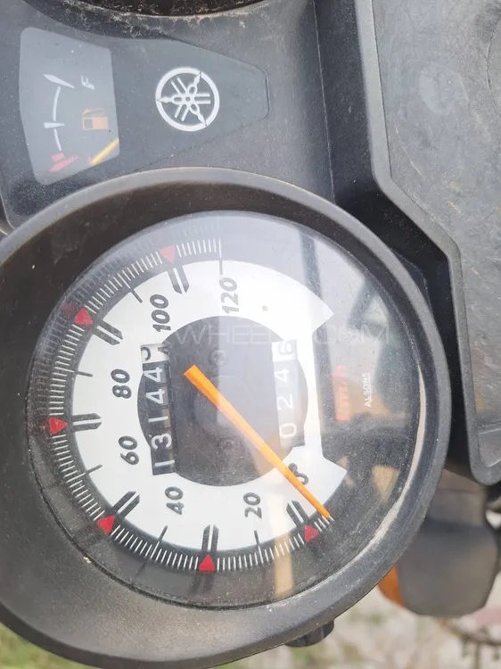 Yamaha YB 125Z-DX 2023 for Sale Image-1