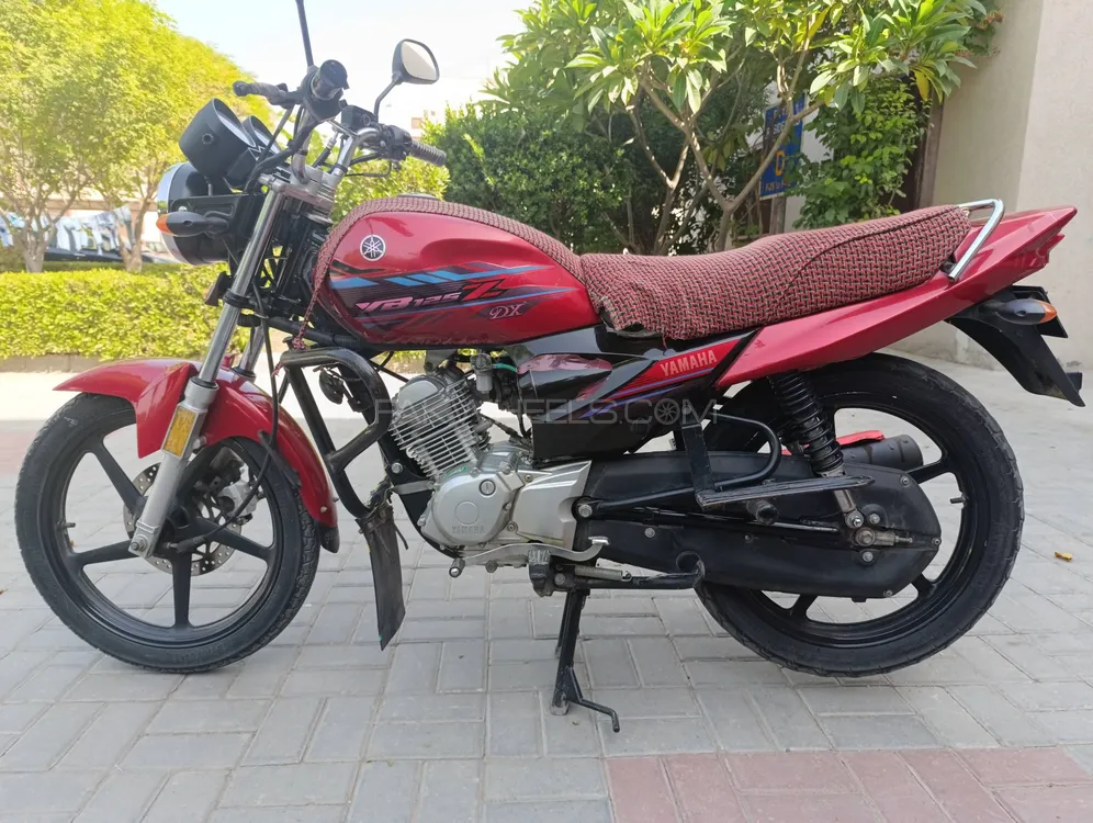 Yamaha YB 125Z-DX 2023 for Sale Image-1