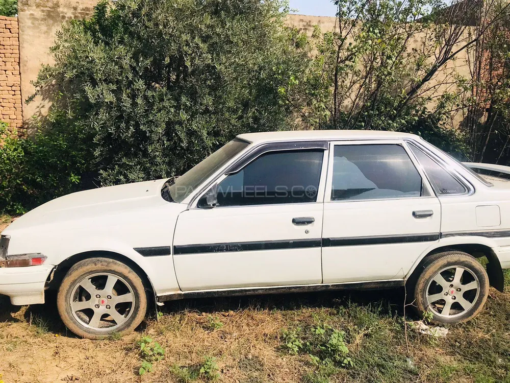 Toyota Corolla 1984 for Sale in Mandi bahauddin Image-1