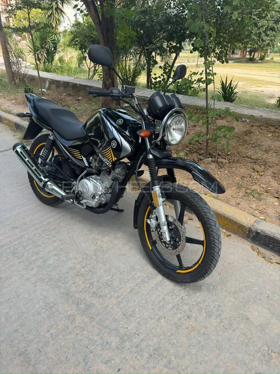 Yamaha YBR 125 2025 for Sale Image-1