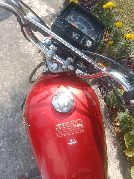 Honda CD 70 2024 for Sale Image-1