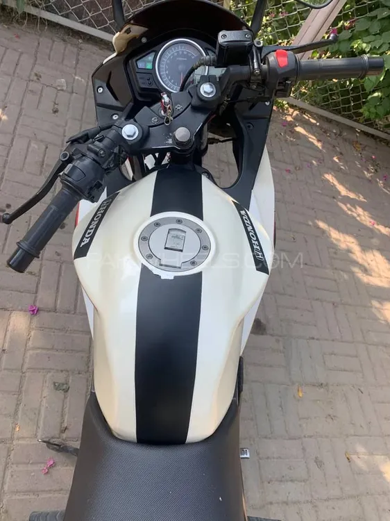Super Power Leo 200 2017 for Sale Super Power Leo 200 2017 for Sale Image-10