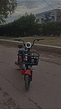 Evee Flipper 2025