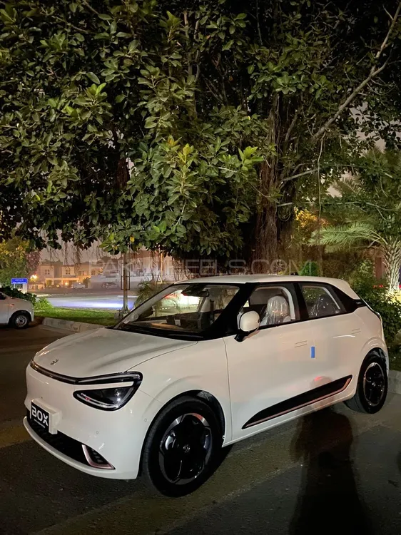 Dongfeng Box 2025 for Sale in Lahore Dongfeng Box 2025 for Sale in Lahore Image-6