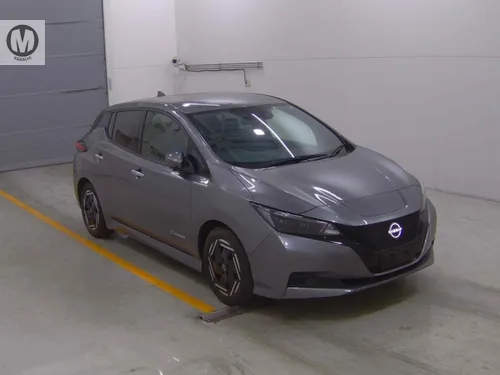 Nissan Leaf 2022