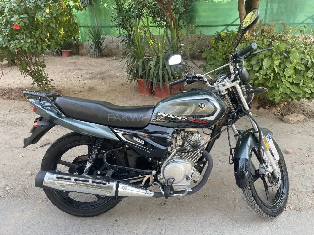 Yamaha YB 125Z-DX 2025 for Sale Yamaha YB 125Z-DX 2025 for Sale Image-2