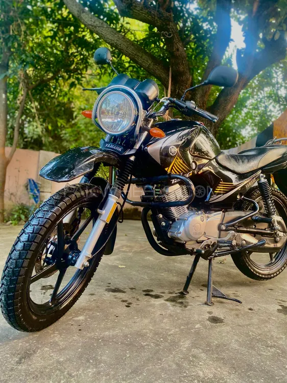 Yamaha YBR 125 2025 for Sale Image-1