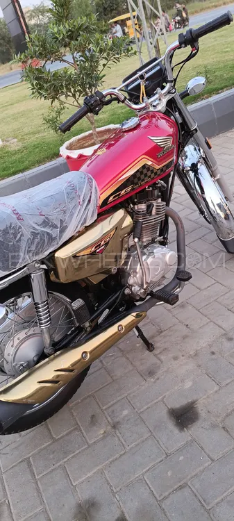 Honda CG 125 Special Edition 2024 for Sale Image-1