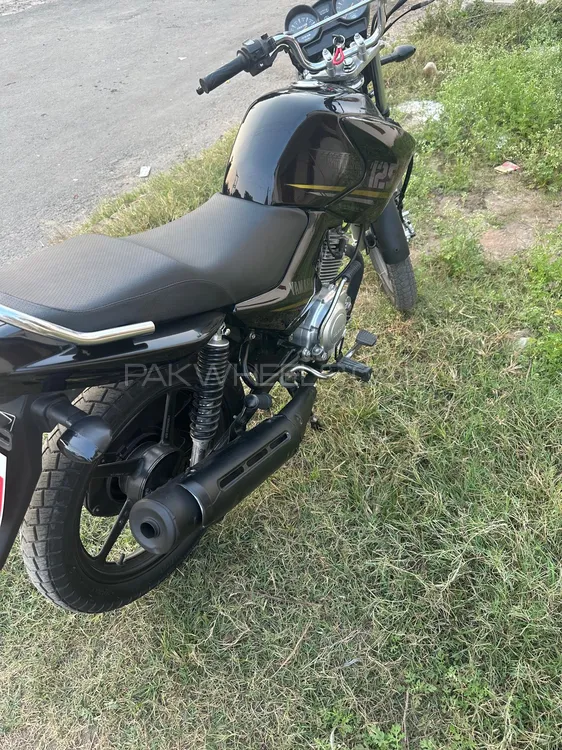 Yamaha YBR 125 2023 for Sale Image-1