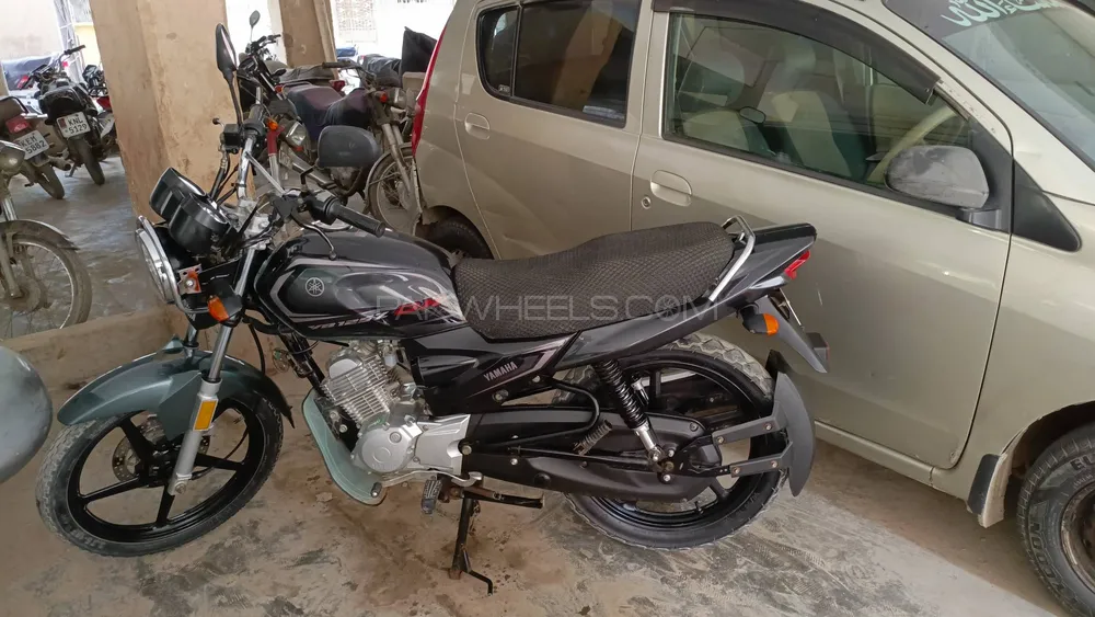 Yamaha YB 125Z-DX 2024 for Sale Image-1