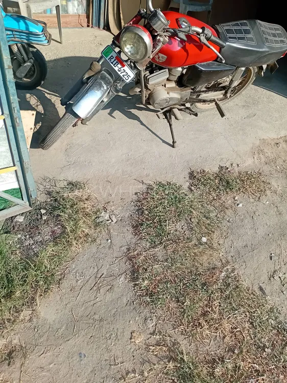 Chinese Bikes Other 1976 for Sale Image-1