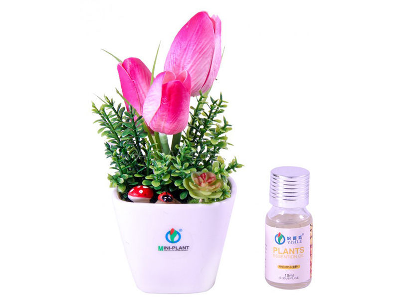 Mini Plant Perfume - Simulation Aromatherapy - PL 02 Image-1