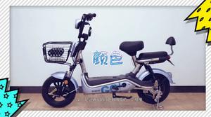 Chinese Bikes Other - 2020