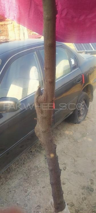 Toyota Corolla 2000 for Sale in Layyah Toyota Corolla 2000 for Sale in Layyah Image-9