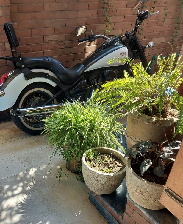 Kawasaki Vulcan 900 Classic 2015 for Sale Kawasaki Vulcan 900 Classic 2015 for Sale Image-5