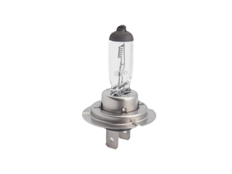 H7 Halogen Bulb 24v 55w Clear for sale in Lahore Image-1