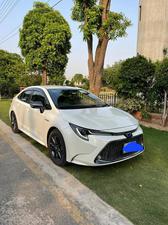Toyota Corolla 2019 for Sale in Sialkot