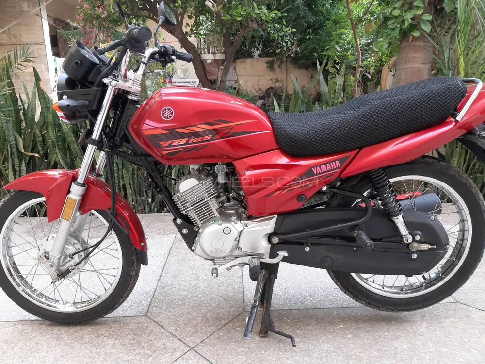 Yamaha YB 125Z  2021 for Sale Image-1